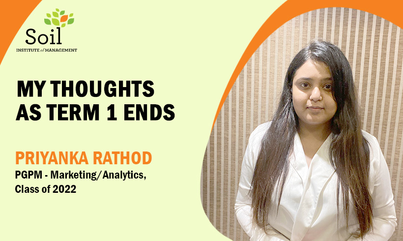 My Thoughts As Term 1 Ends