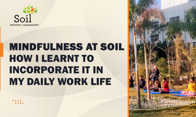 Mindfulness at SOIL - How I learnt to incorporate it in my daily work life
