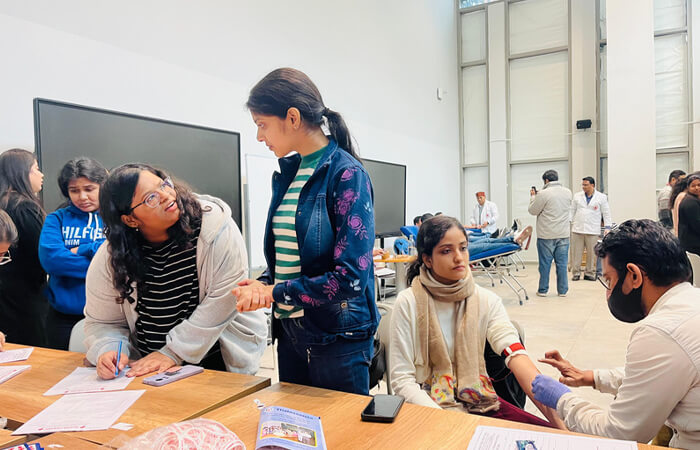 Startup Discovery Panels