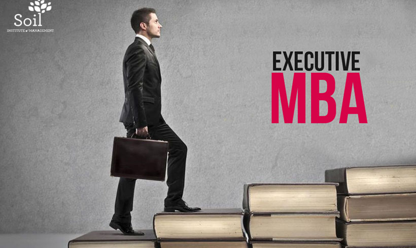 Why do Executive MBA in Delhi - SOIL