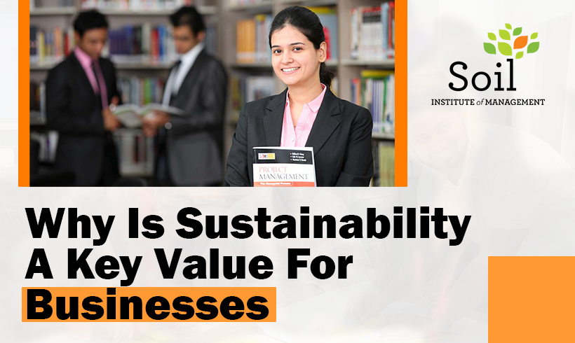 Why Is Sustainability A Key Value For Businesses | PGDM | MBA
