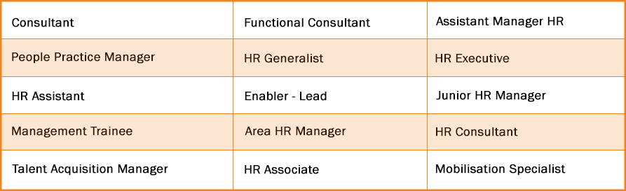 Roles Offered In The Last 3 Years