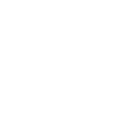 MENTORING & GUIDANCE