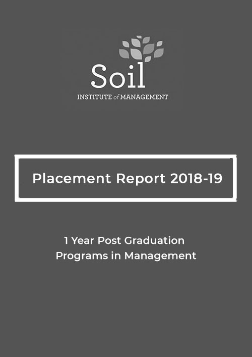 Interim Placement Report 2018-19