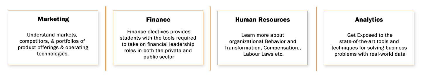 Specialization (Term 4, 5, 6)